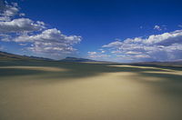 Great Basin Desert, Nevada
