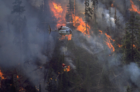 A helitorch ignites a backburn in the Zirkel Wilderness, Colorado