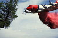 Aero Union, P3 Orion, Airtanker 21