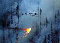 Helitorch running hot on the Mad Creek Fire, Colorado