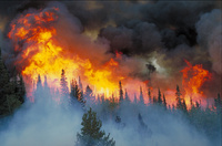 Blackhall Fire, Wyoming