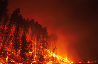 Night fire on the Black Mountain 2 Fire, Missoula, MT