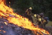 Globe Hotshots, Lower Ebb Fire, Idaho