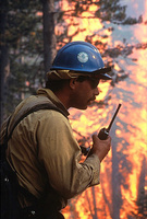 Sawtooth Hotshots Tom Bates